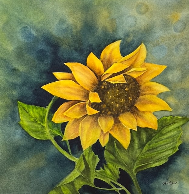 Sunflower — original watercolour painting by Canadian artist Gloria Andison